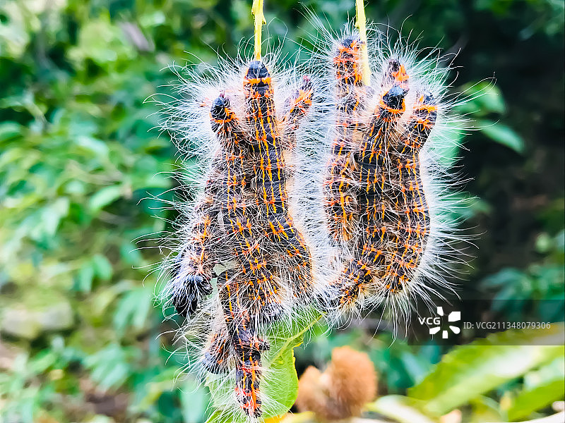 冠军是谁？图片素材