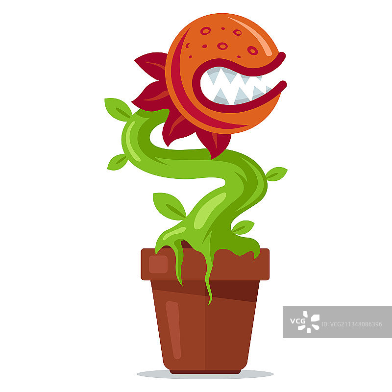 盆栽食肉植物：捕食性花朵图片素材