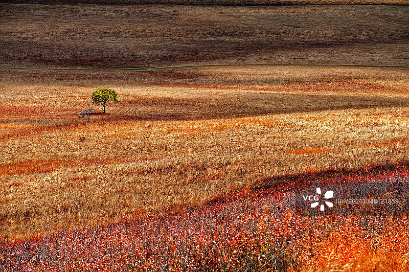 坝上深秋图片素材