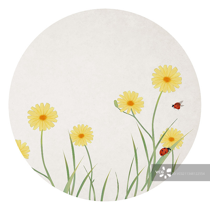 圆形中国风小雏菊瓢虫插画图片素材
