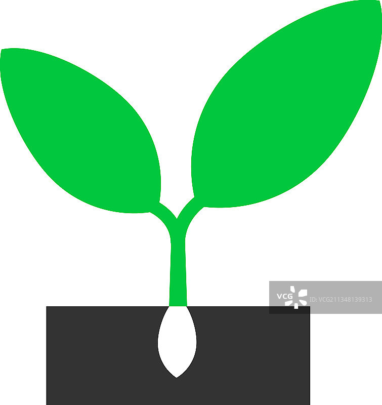 植物发芽扁平图标图片素材