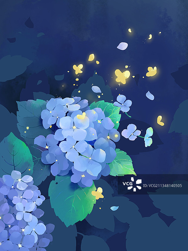 盛开的绣球花图片素材