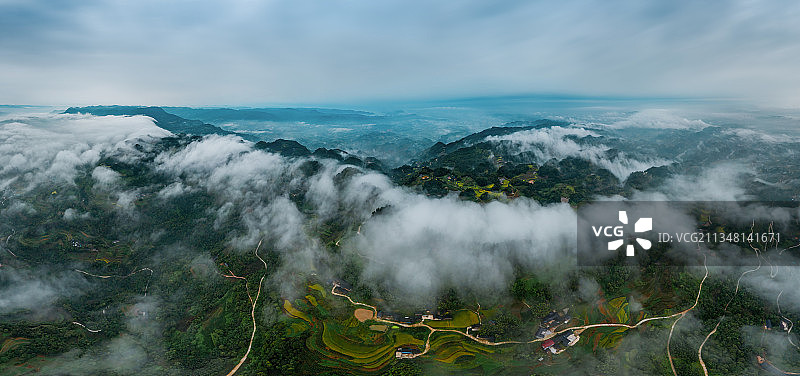 重庆四面山：探秘奇妙的昆虫世界 维护自然界的生态平衡图片素材