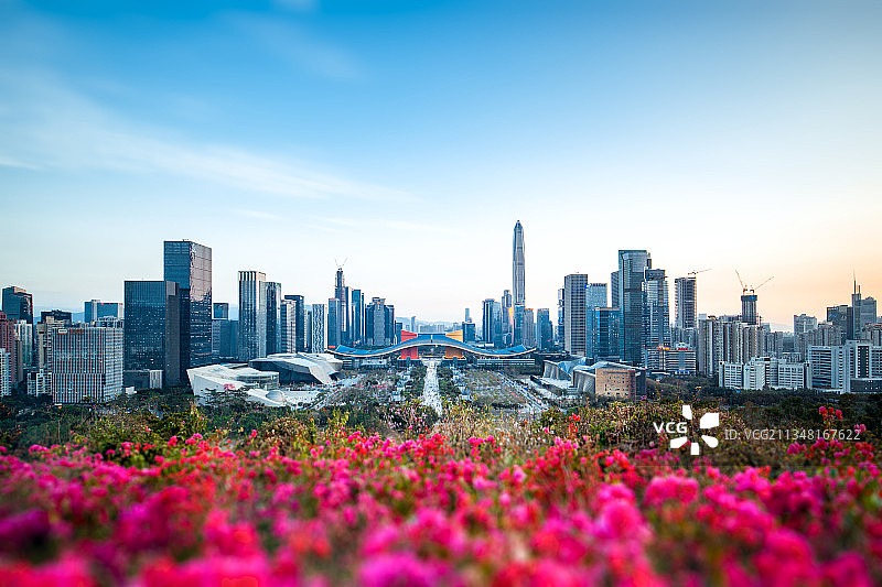 中国广东深圳福田中心区都市风光图片素材