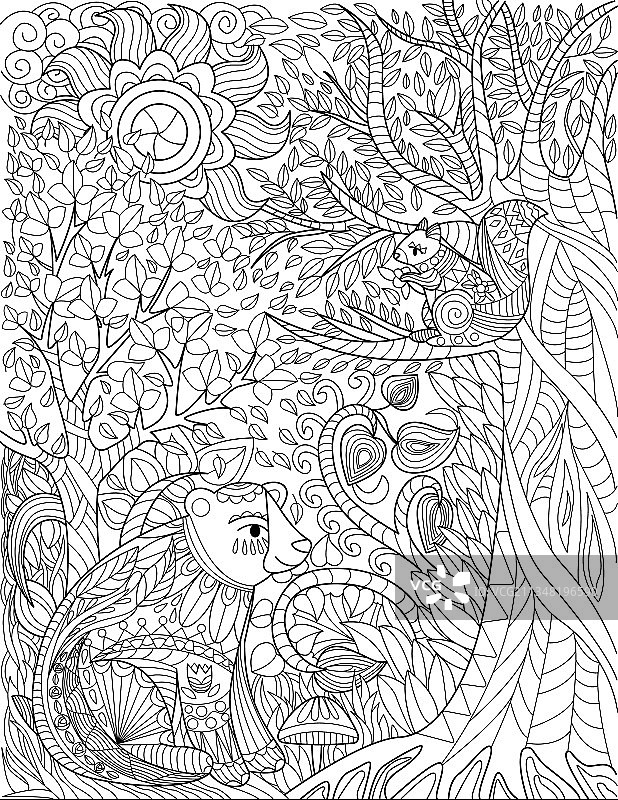 松鼠在高大的野生森林中休息图片素材