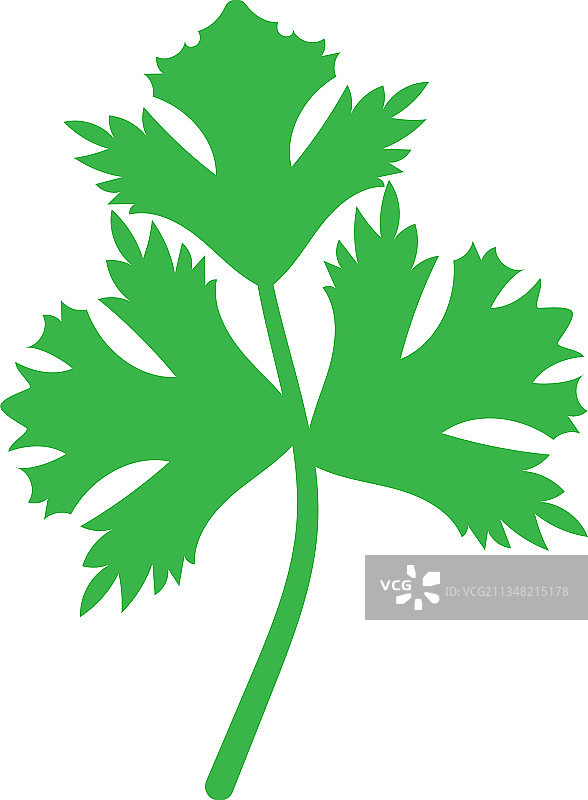 香菜图标设计模板图片素材