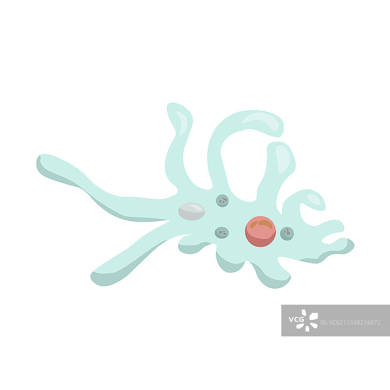 变形虫的示意图图片素材