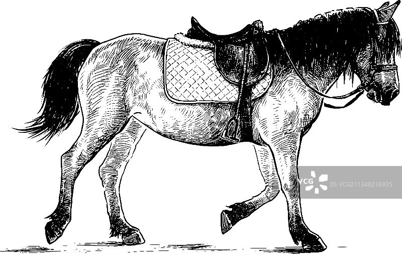 手绘遛马图片素材