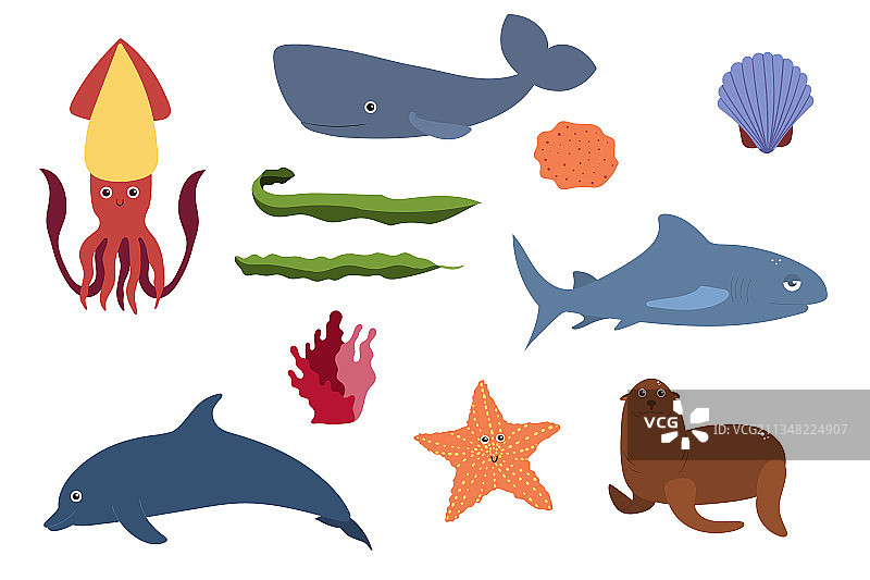 鱿鱼、抹香鲸、鲨鱼等海洋动物合集图片素材