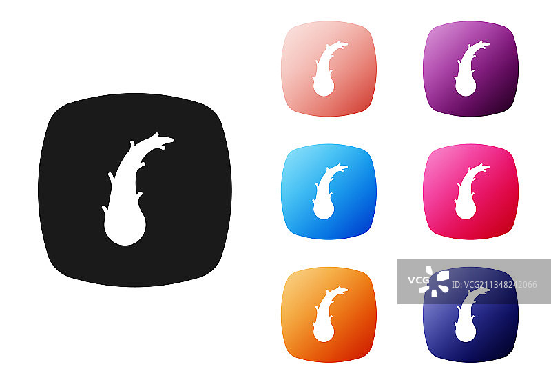 黑色人类毛囊图标，白色背景图片素材