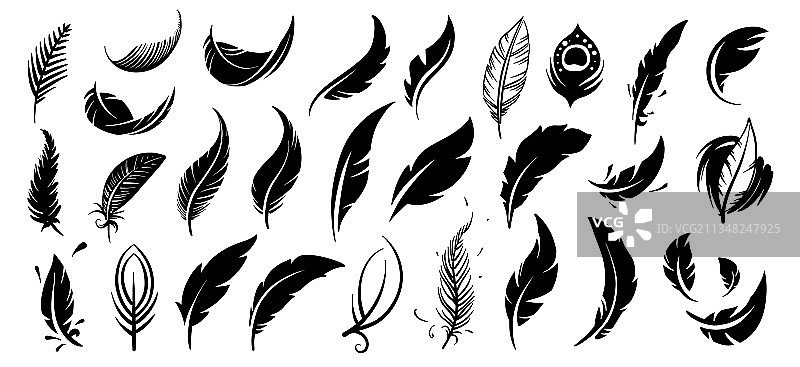 手绘鸟类羽毛套装图片素材