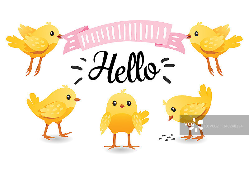 可爱的小鸡雏鸟黄色春天图片素材