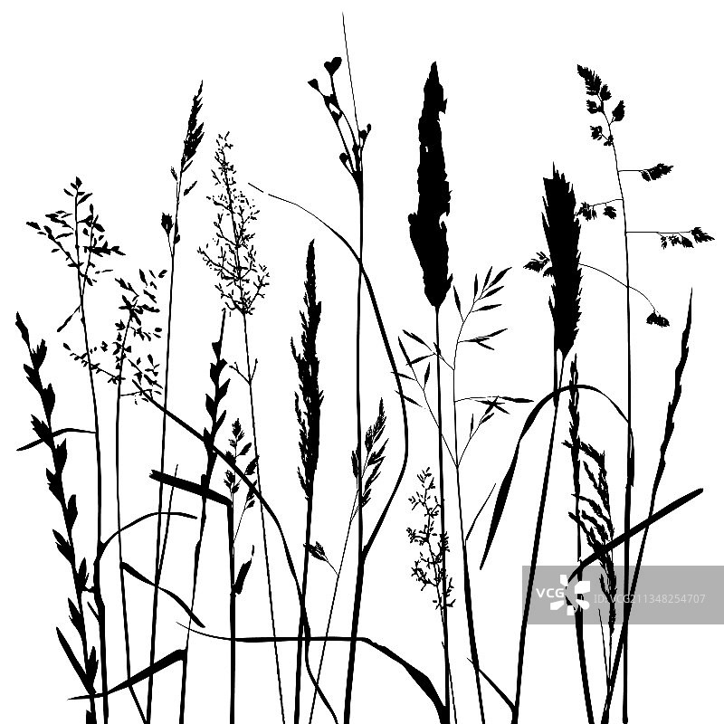 带有树叶和植物剪影的模板图片素材