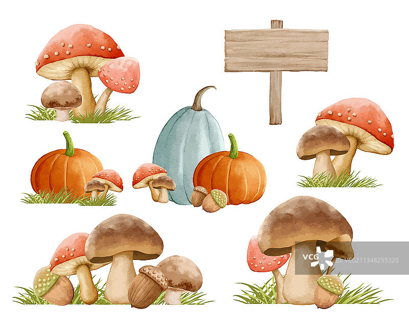 水彩草地秋季蘑菇组合图片素材