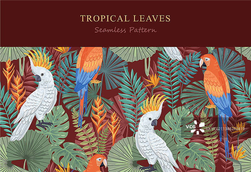 热带鸟类无缝图案图片素材