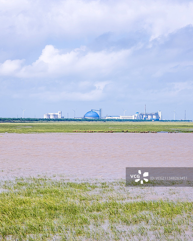 盐城大丰的滩涂、工厂与麋鹿群图片素材