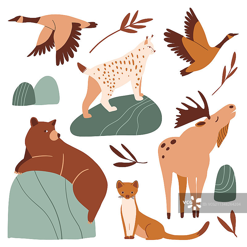可爱的森林动物，有趣的熊、猞猁和驼鹿图片素材