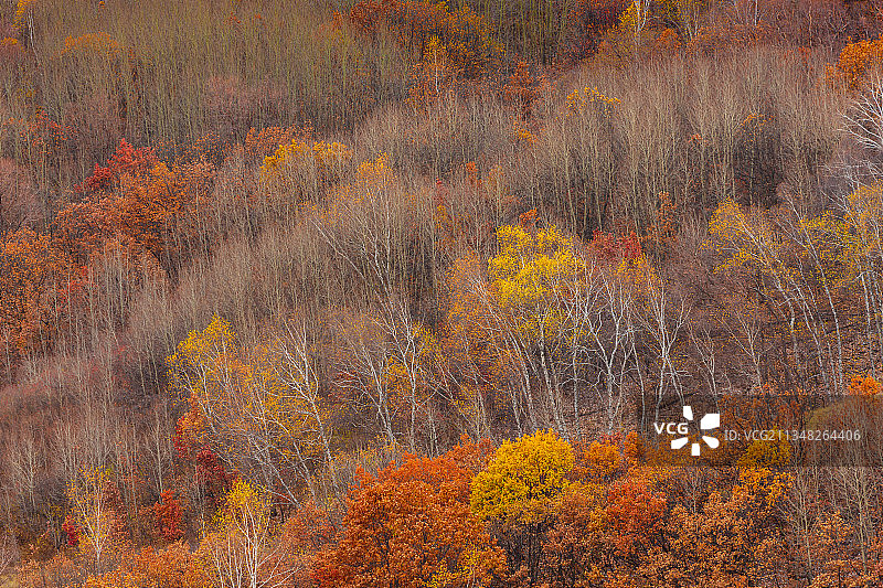 承德龟山峡谷五彩坡图片素材