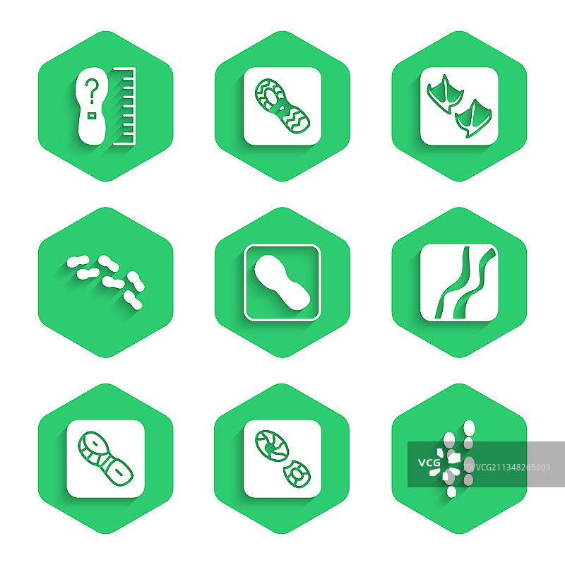 人类脚印、鞋子、蛇爪和海鸥图片素材