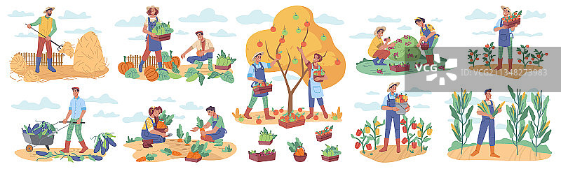 农民收获和收集农产品图片素材