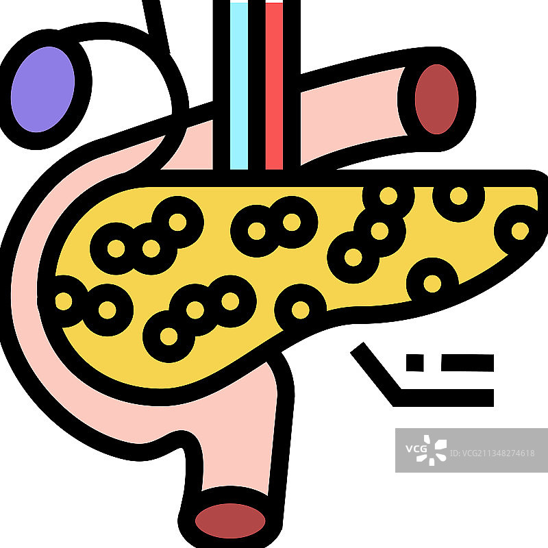 胰腺内分泌彩色图标图片素材