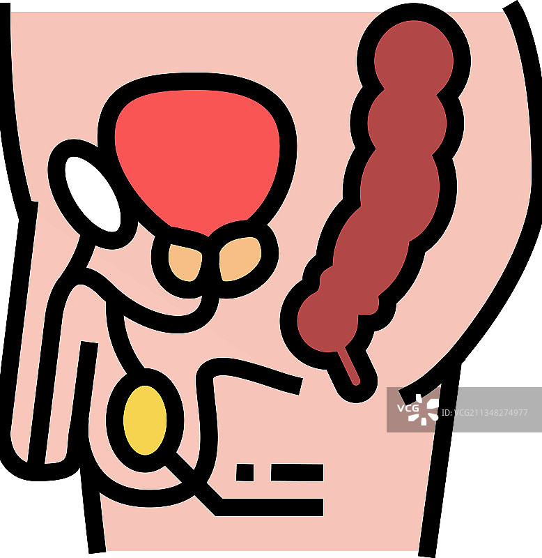 睾丸内分泌彩色图标图片素材