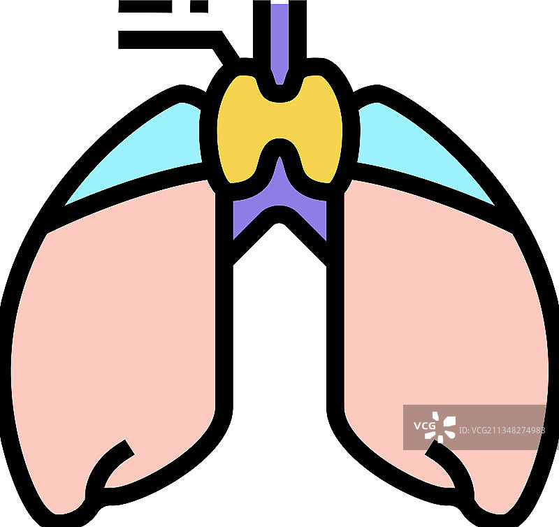 胸腺内分泌彩色图标图片素材
