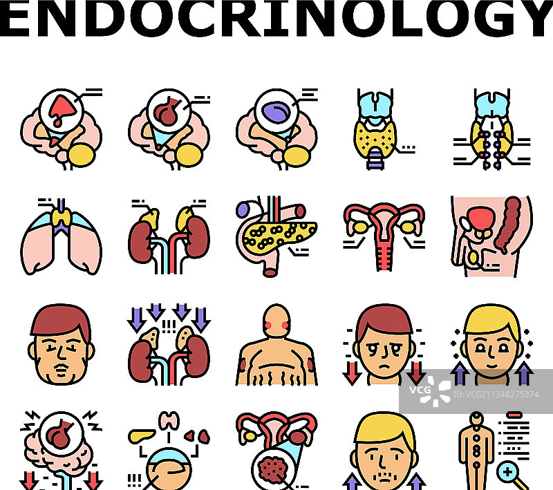 内分泌医学疾病图标集图片素材