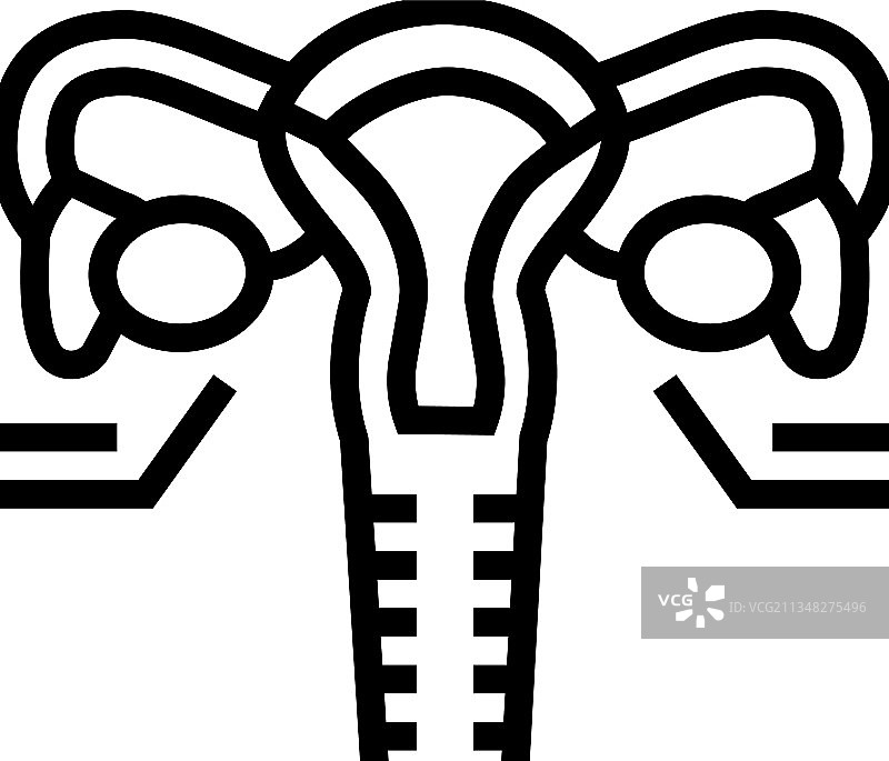 卵巢内分泌线性图标图片素材