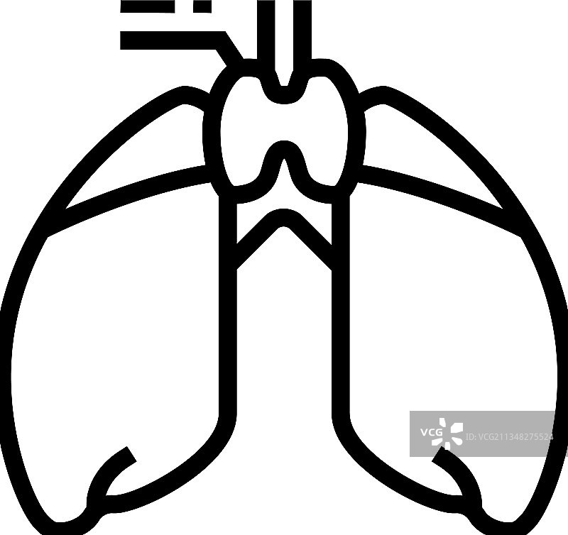 胸腺内分泌线性图标图片素材