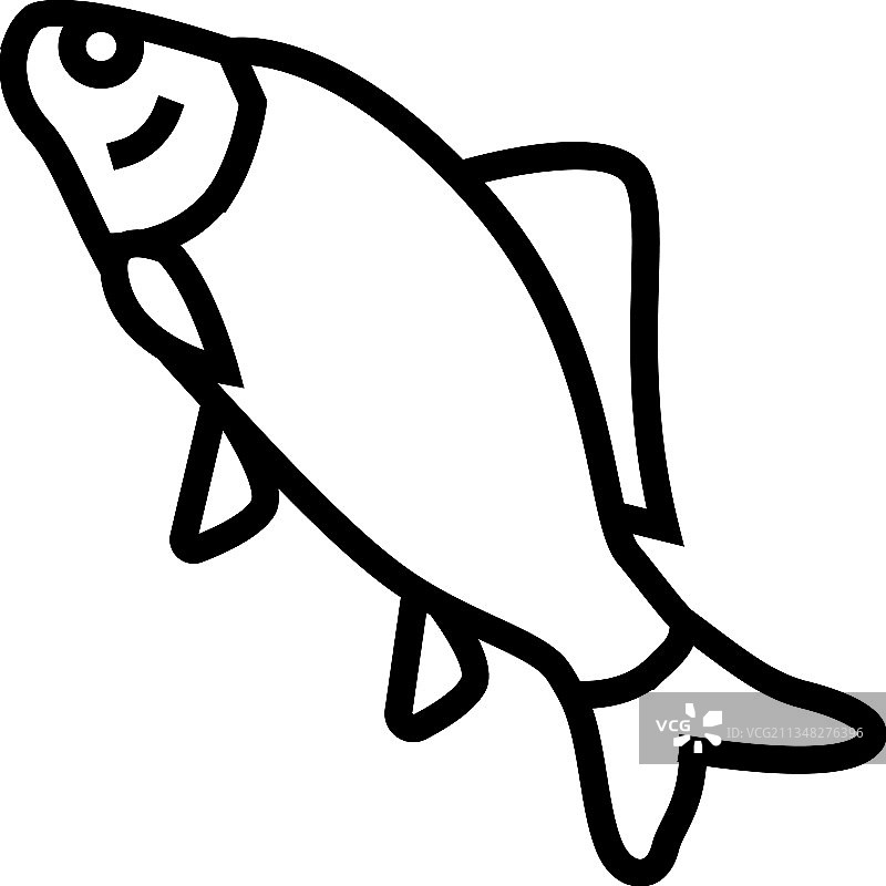 鲫鱼线条图标图片素材
