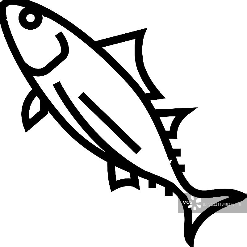 鲣鱼线条图标图片素材