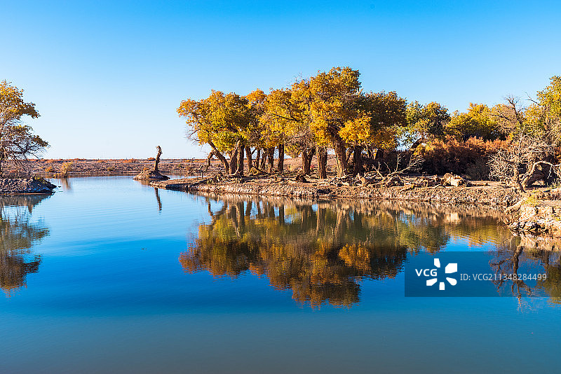 来自秋天的金色书签图片素材