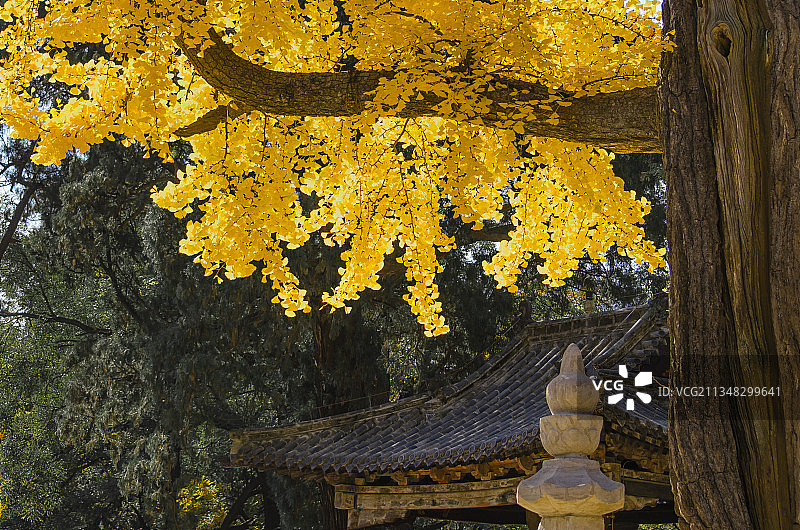 济南灵岩寺风光图片素材