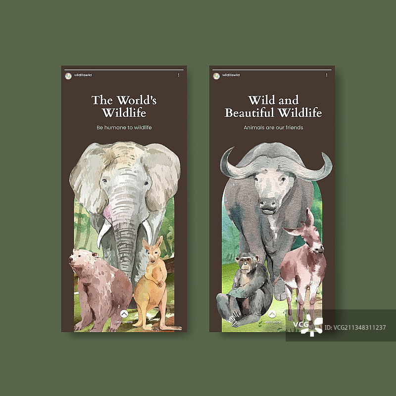 世界动物日Instagram模板图片素材