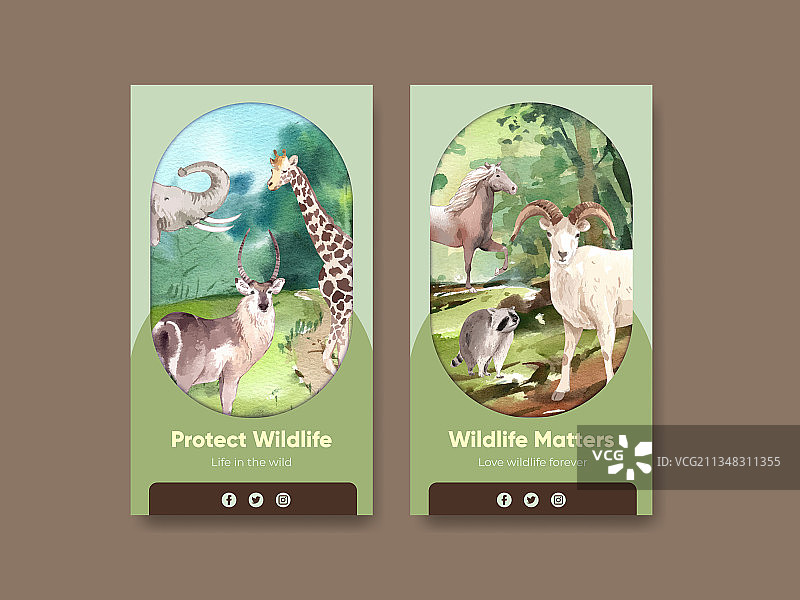 世界动物日Instagram模板图片素材