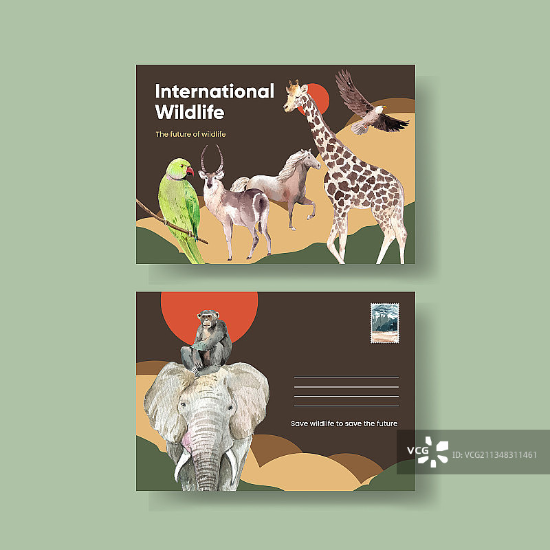 世界动物日明信片模板图片素材