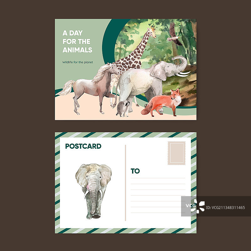 世界动物日明信片模板图片素材