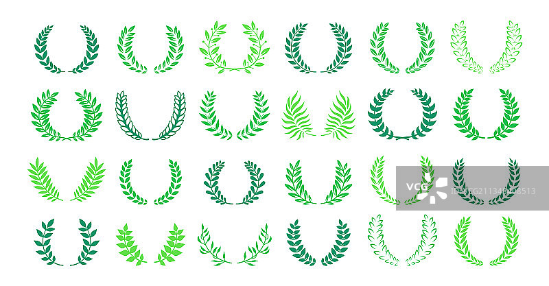 绿色月桂花环橄榄纹章设计图片素材