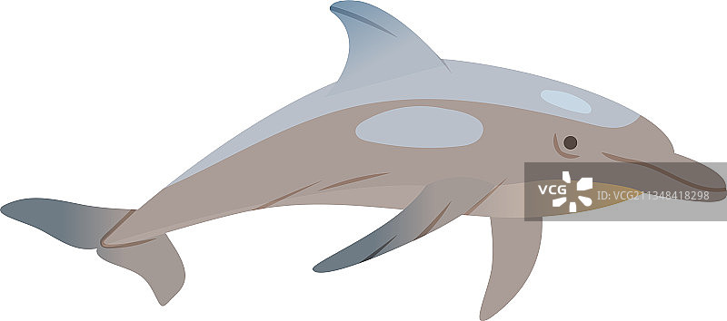 水下海洋动物海豚图片素材