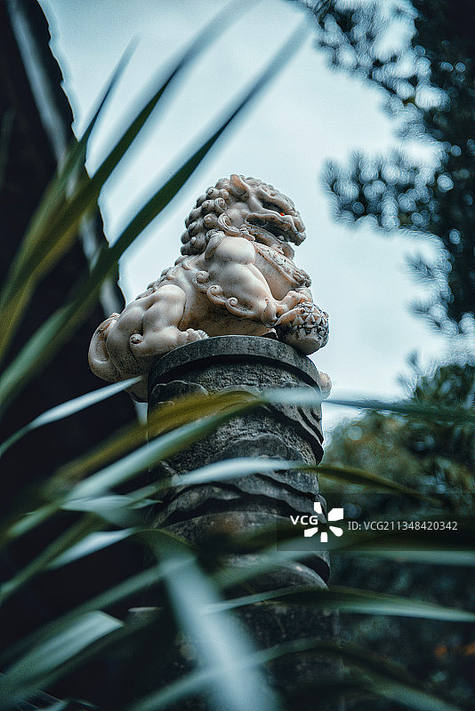 圣水寺禅林石狮图片素材