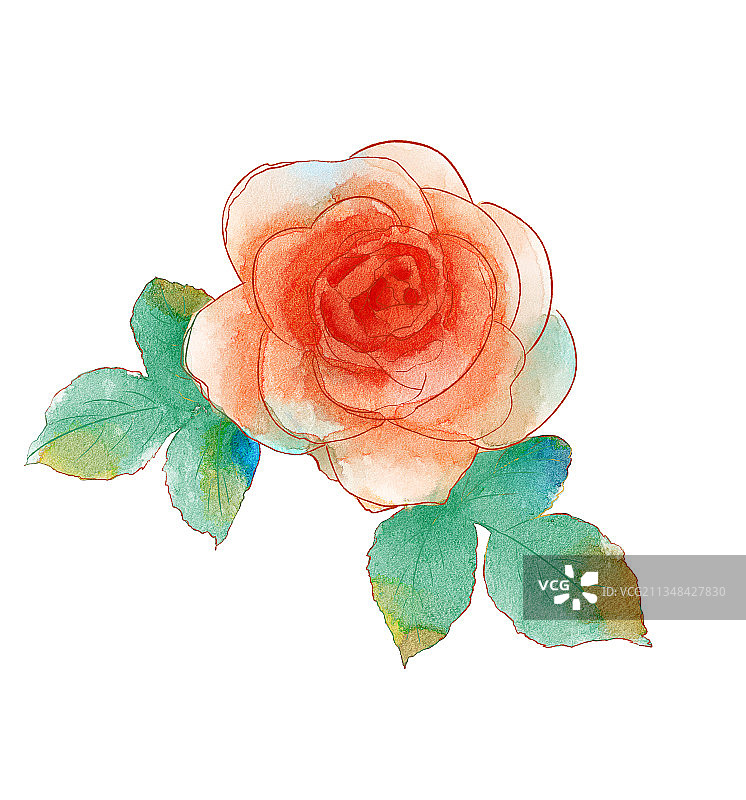 水彩花花图片素材