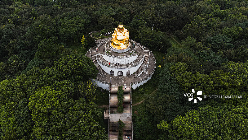 航拍苏州上方山森林公园金色佛像图片素材
