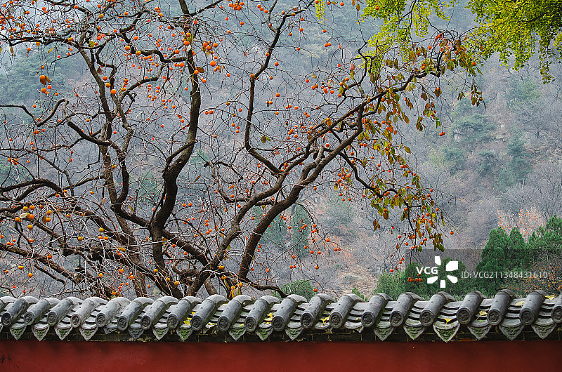 山东泰安玉泉寺千年古刹图片素材