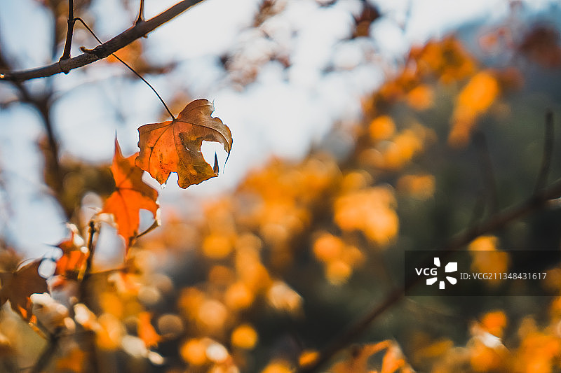 山东泰安玉泉寺千年古刹图片素材