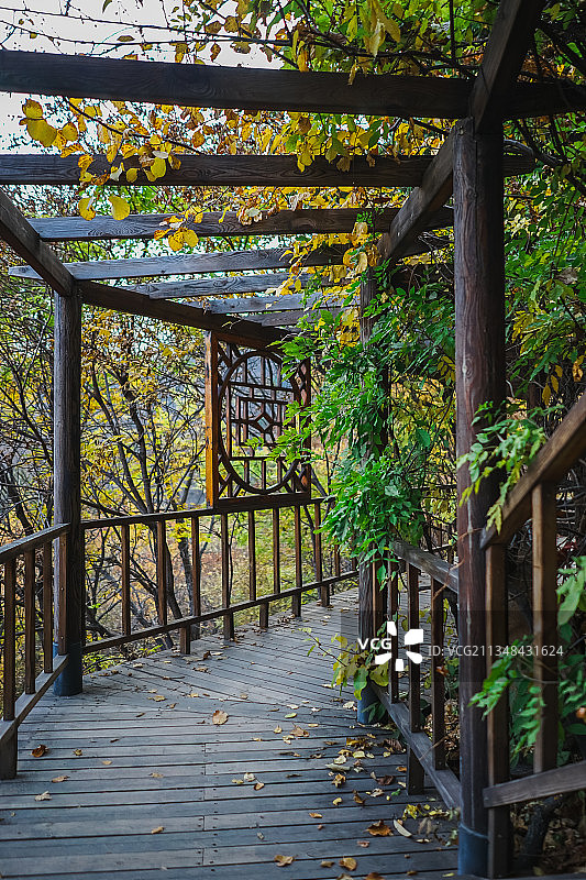山东泰安玉泉寺千年古刹图片素材