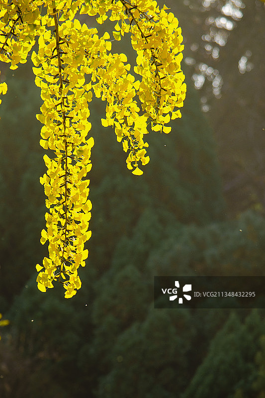 山东泰安玉泉寺千年古刹图片素材