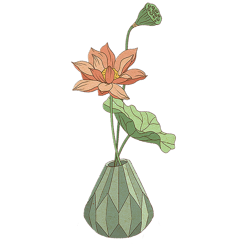 荷花图片素材