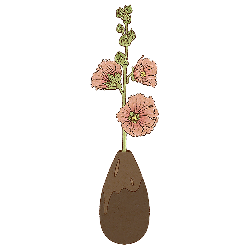 蜀葵花图片素材