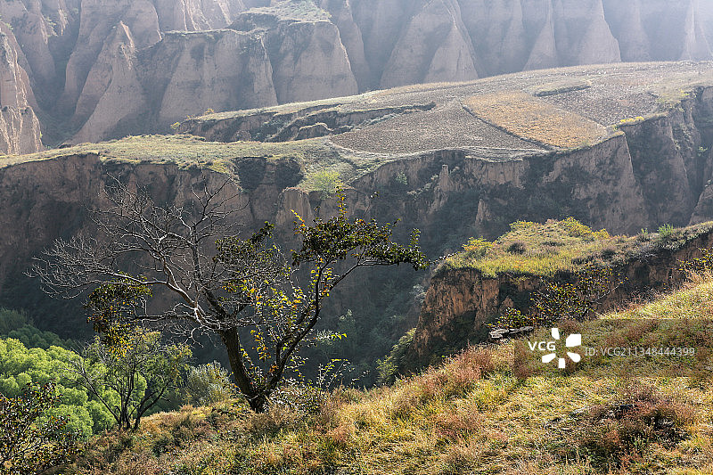 黄土高原图片素材